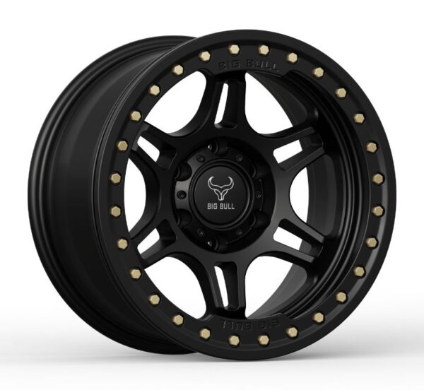 SATIN BLACK WITH BLACK RING