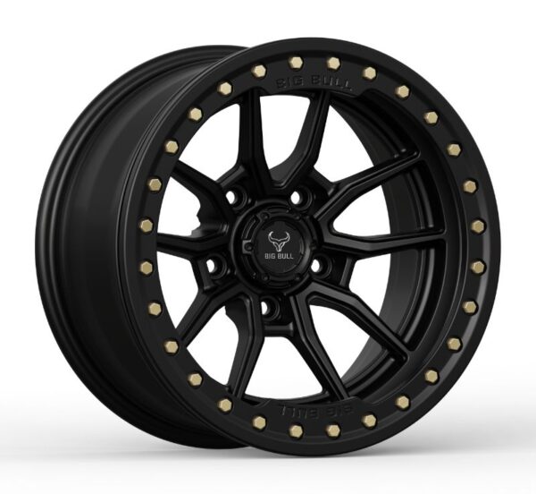 SATIN BLACK WITH BLACK RING